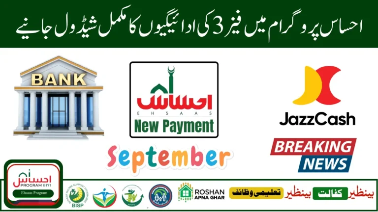 8171 Ehsaas Program Phase 3 Payment