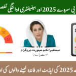 BISP Survey 2025