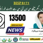 8171 CNIC Check Online A Complete Guide for BISP 8171 Portal Beneficiaries in Pakistan