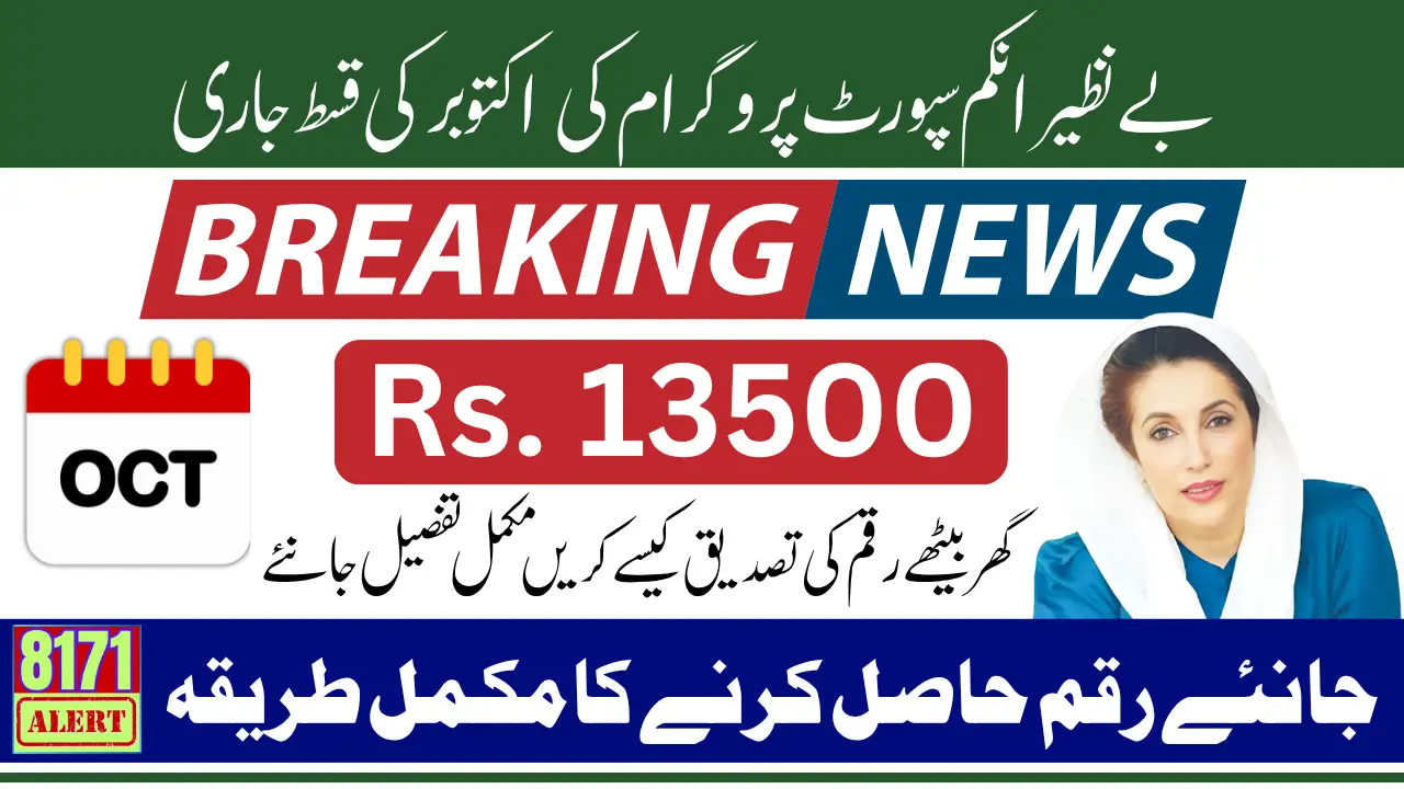 BISP 8171 Payment Guide