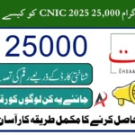 Check Ehsaas Program 25000 Payment